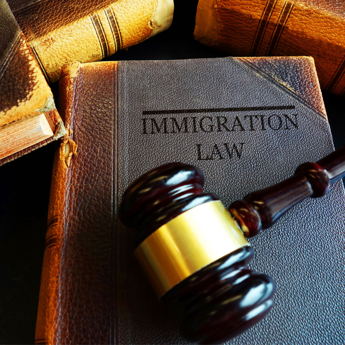 immigration lawyer chicago